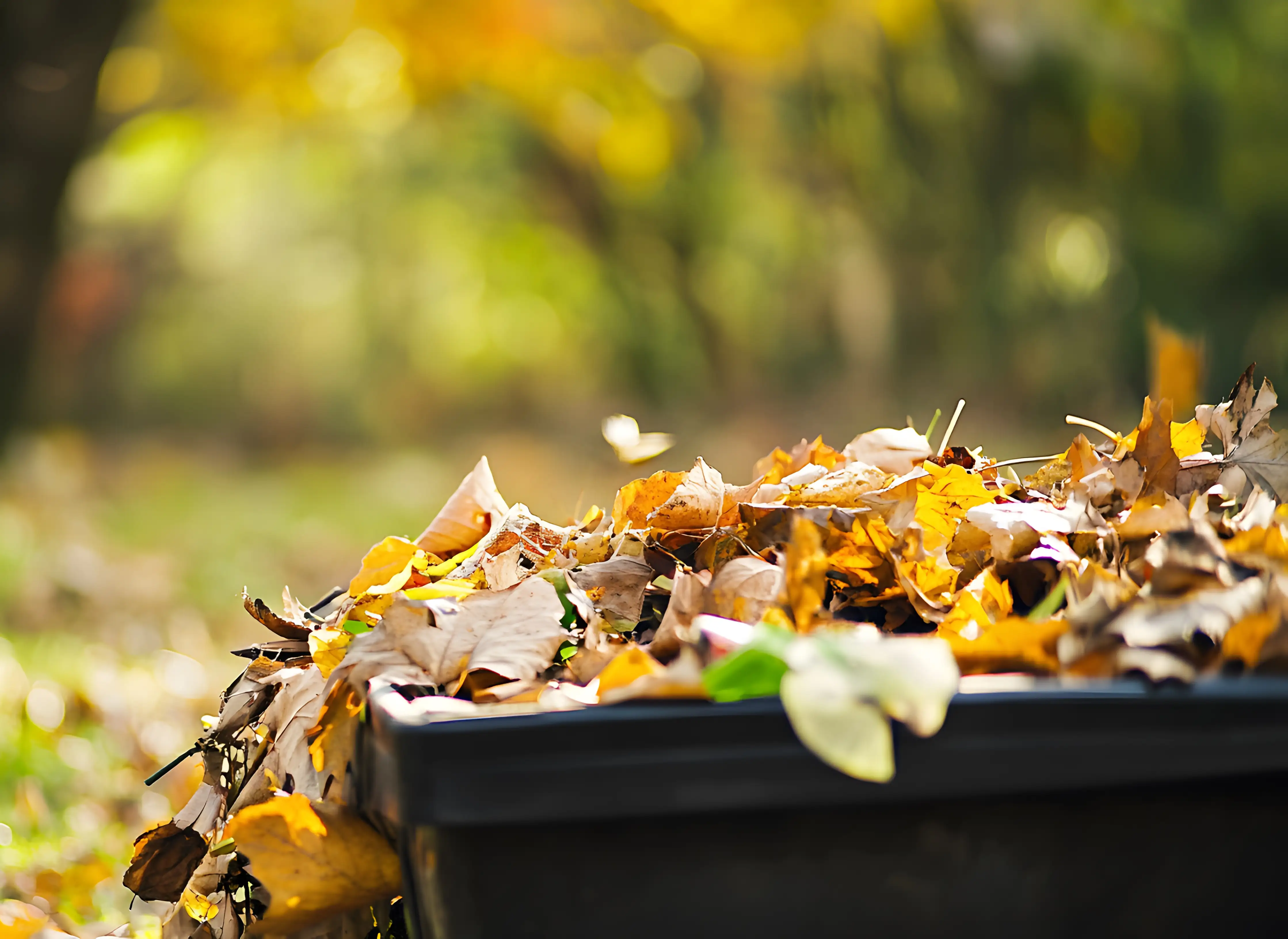 High Vibe Waste composting service at a property